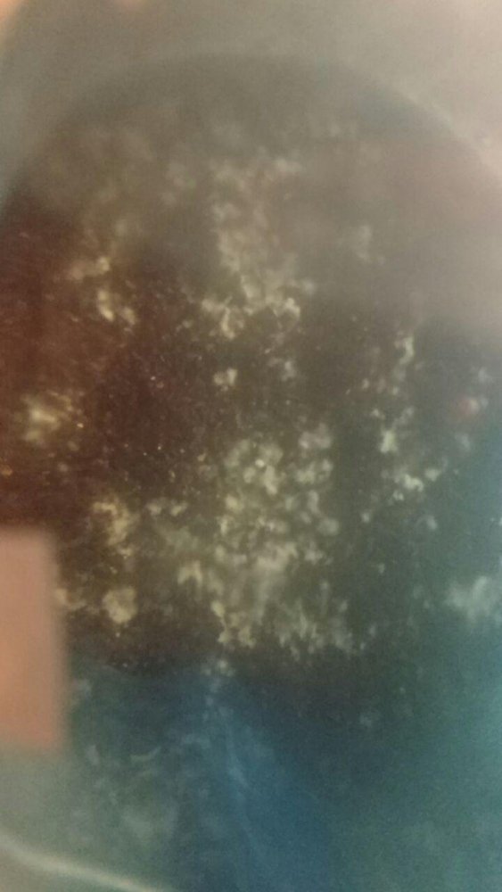 photo_2017-12-01_02-40-45.thumb.jpg.de860539a9c59fe06a11c3009b6c6df8.jpg