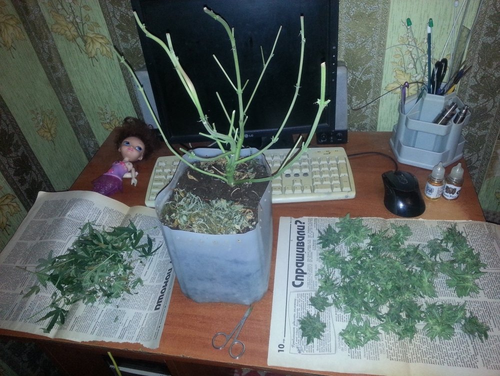 20171207_113046.thumb.jpg.65968391c99692c62af40c0475a58c31.jpg