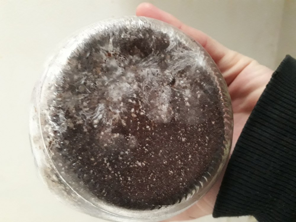 20171209_144542.jpg
