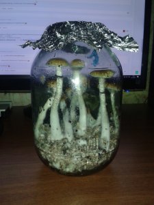 20171214_132811.thumb.jpg.3fd382cf608a7b690fbba1c3ec7e6f36.jpg