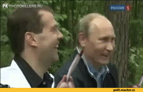 Путин-политика-Медведев-трава-803759.gif