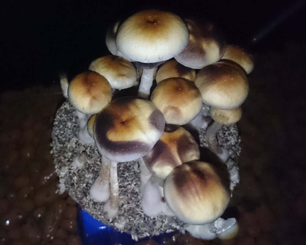 8925vbyct893.jpg