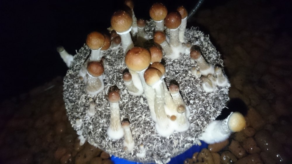 b3609vny.jpg