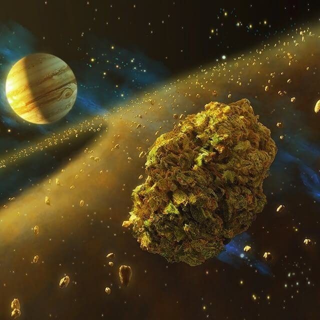 mj2.jpg