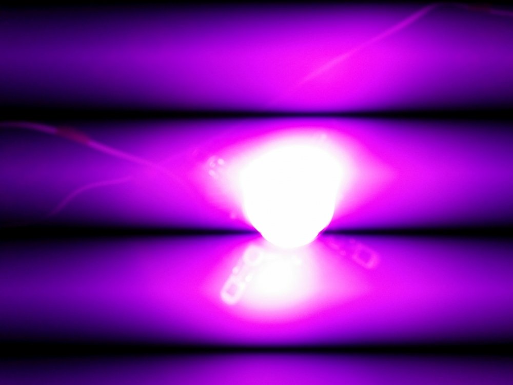 20180112_124706.thumb.jpg.ef39ecdd9f9832300ce0395b84e5b556.jpg