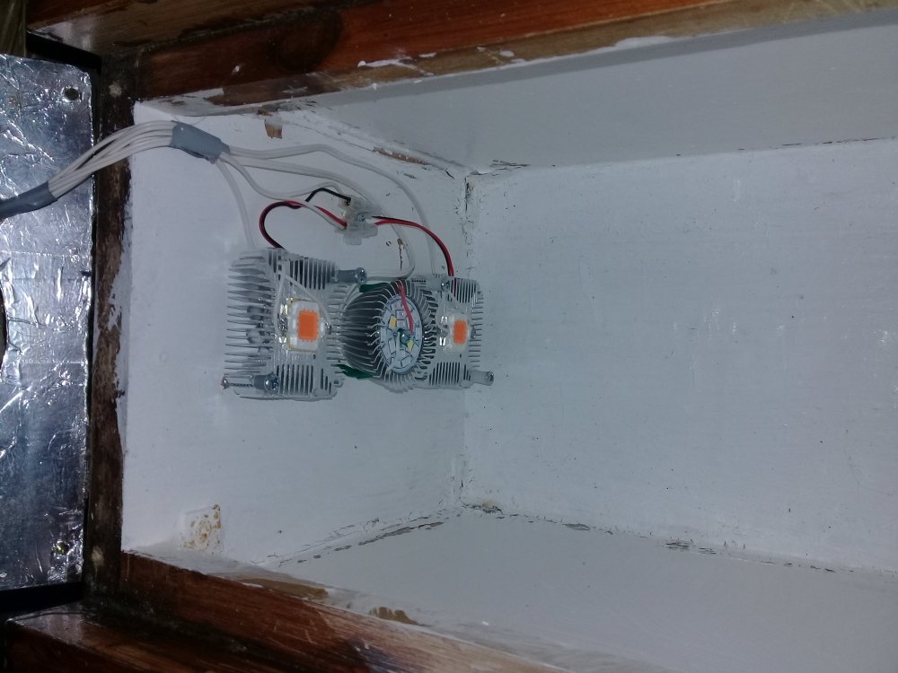 20180116_211504.jpg