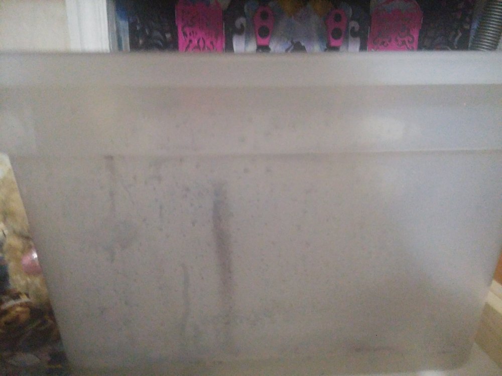 20180121_190013_HDR.jpg