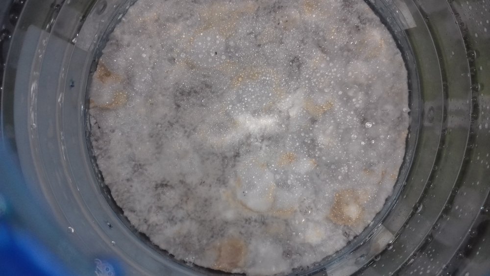20180124_132947.jpg