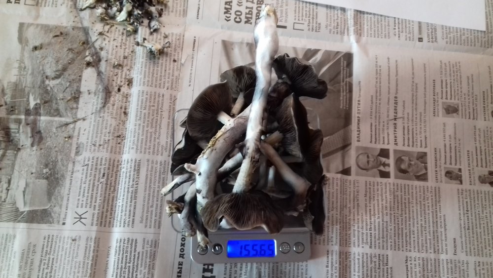 20180126_103248.jpg