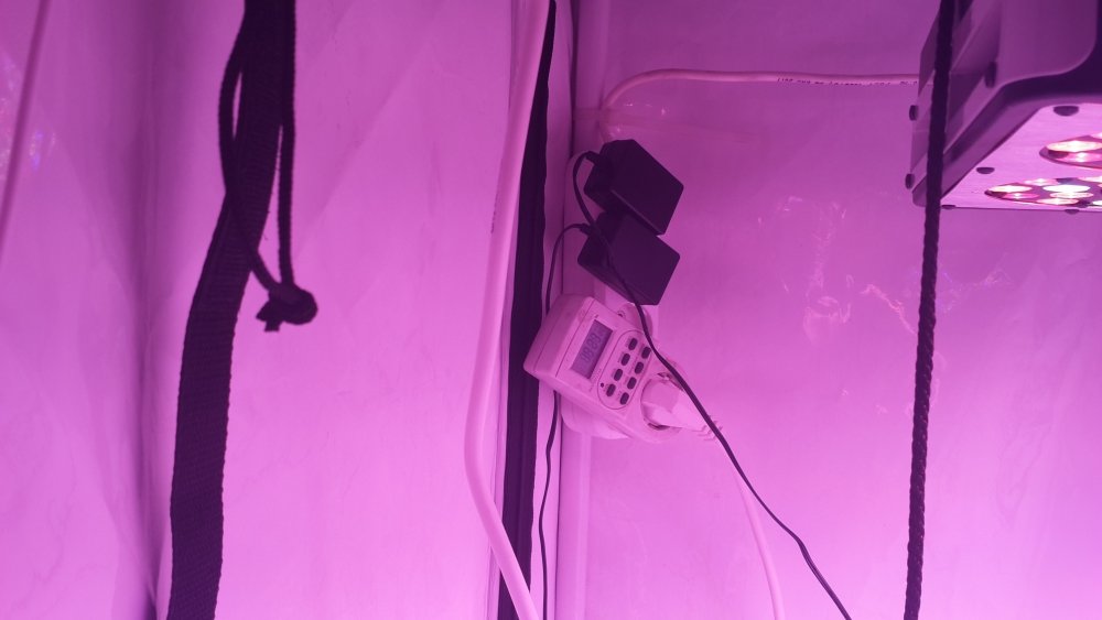 20180127_192612.thumb.jpg.a7ce947144aa7c1518749e079d4113b0.jpg