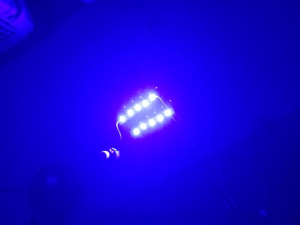 20180130_224301.jpg