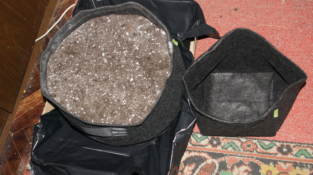 5a5049b51ac82_30Lvs11L-min.thumb.JPG.35f70eabab8420e353c147ad1bfbc37d.JPG