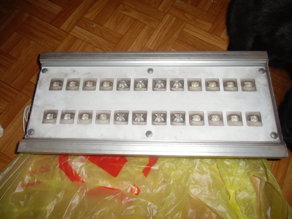 CIMG4674.thumb.JPG.c92f5bca92d632288759c8e08e764203.JPG
