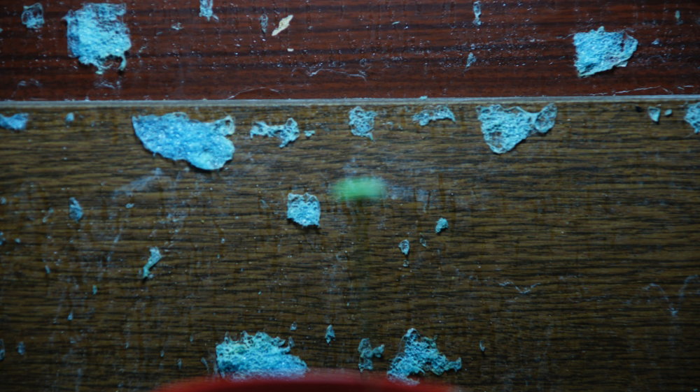 DSC06698-min.thumb.JPG.62b3246c33f6476353c5533dc951452a.JPG