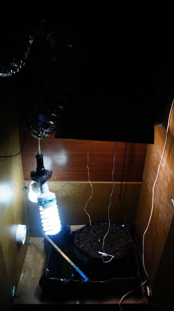 DSC06732-min.thumb.JPG.47e5cdffa621b8bbc69bff3ad8f33432.JPG