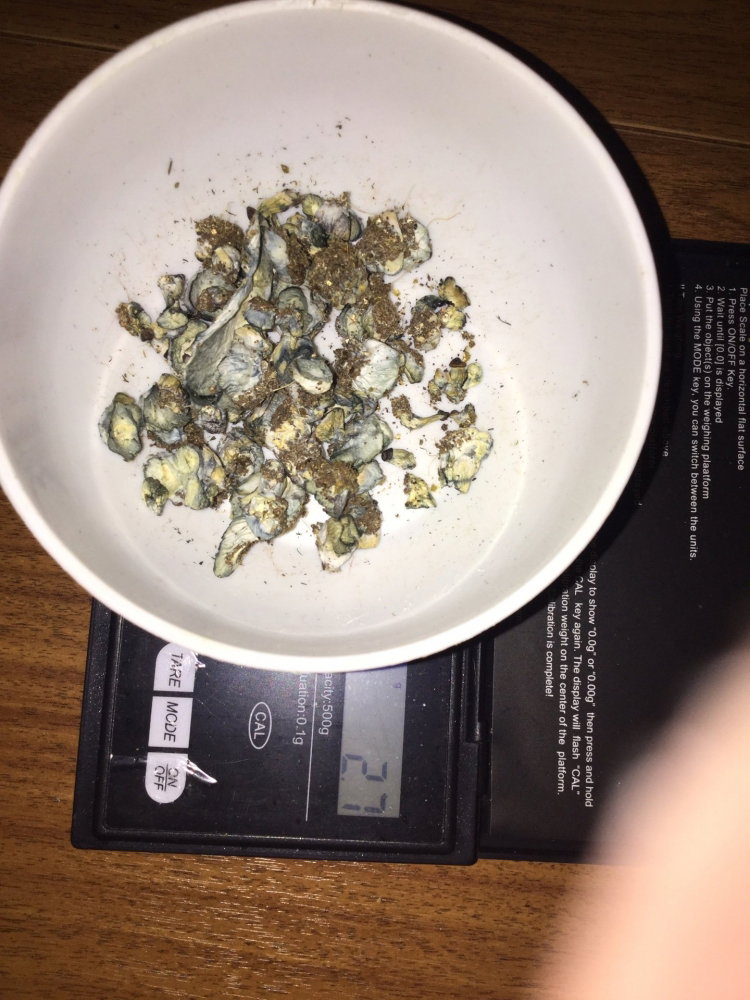 IMG_1687-21-01-18-14-21.thumb.JPG.3d842d7cb6a7c39c42d3417df26f30e0.JPG