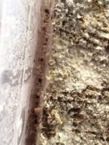 IMG_20180109_153304_416.jpg