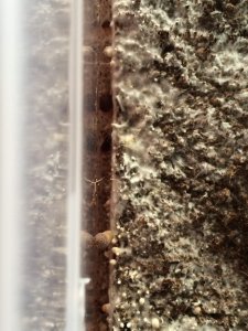 IMG_20180109_153311_733.jpg