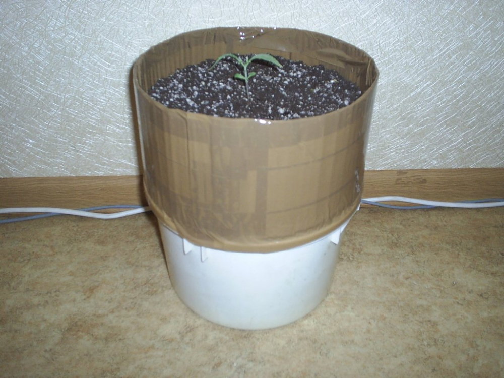 S3010020.thumb.JPG.f0e2cb3c93813350dcb0d6ab3ef1af32.JPG