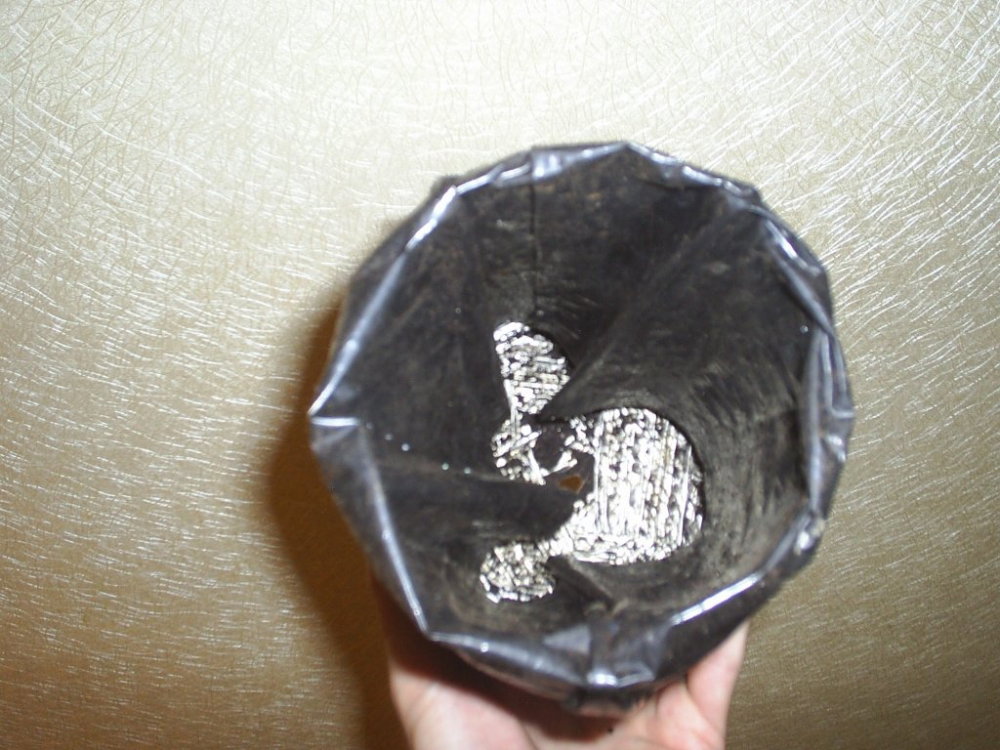 S3010036.thumb.JPG.9dcbf726b74506825f656b34328eeb28.JPG