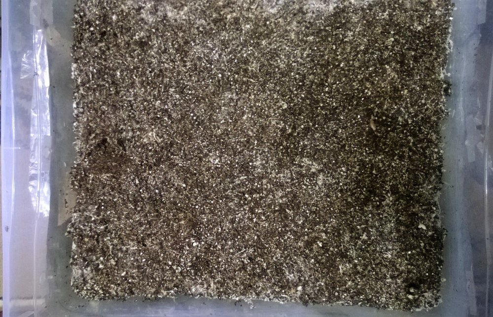 WP_20180131_003.thumb.jpg.e9a07f1eb849679ca78ff815b1de10d0.jpg