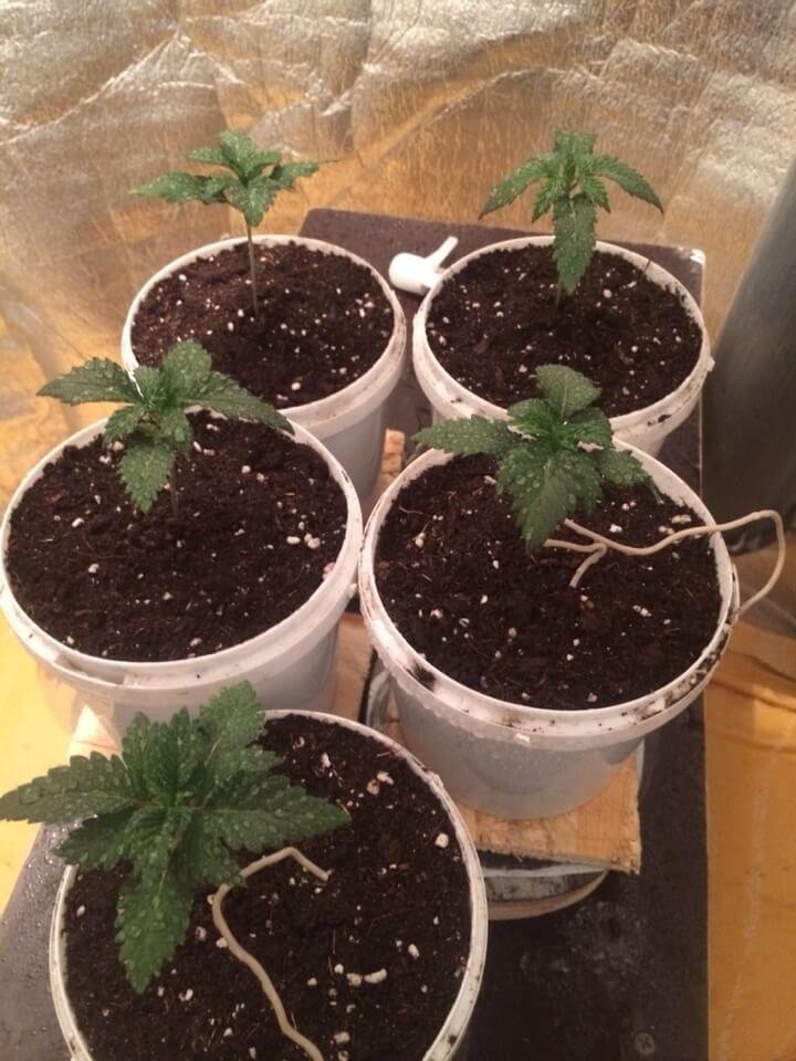 imgonline-com-ua-dexif5GAVZf5P6xyU.jpg