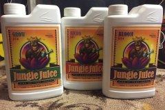 Jungle Juice baze.JPG