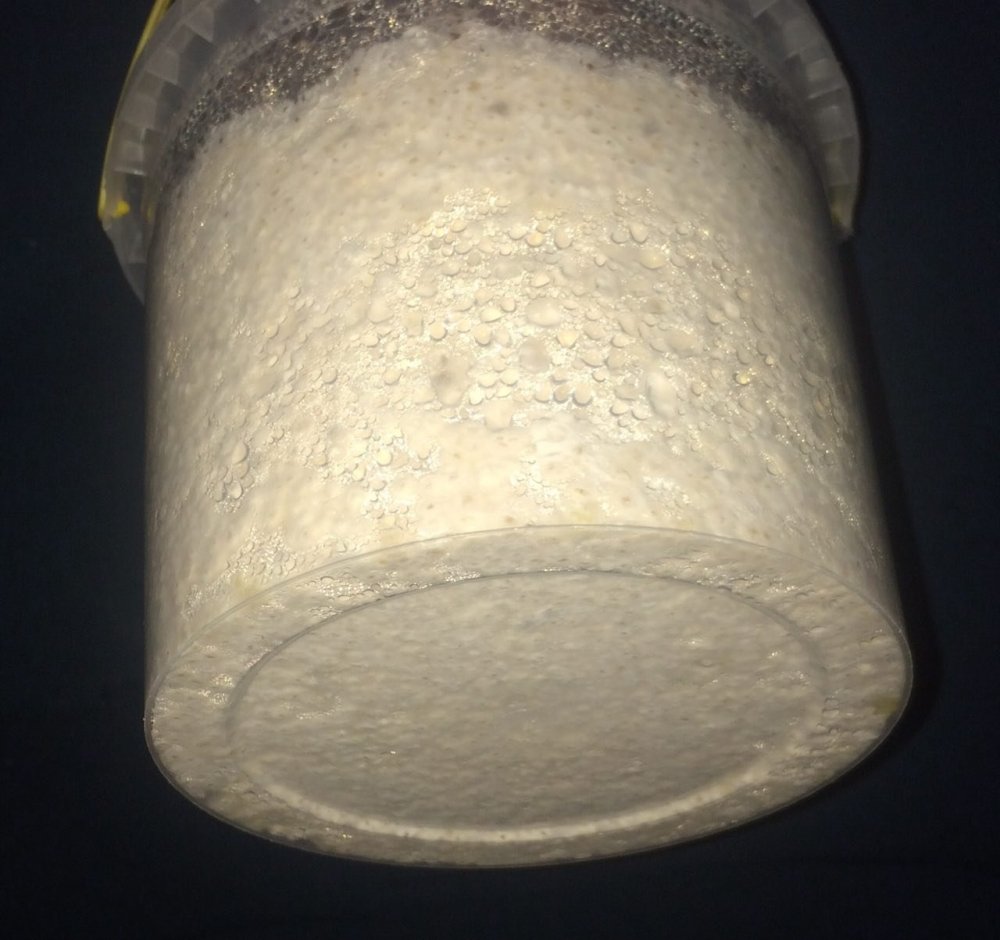 2.thumb.jpg.0f26d480460d427c9a3a00a4f0f7aeb5.jpg