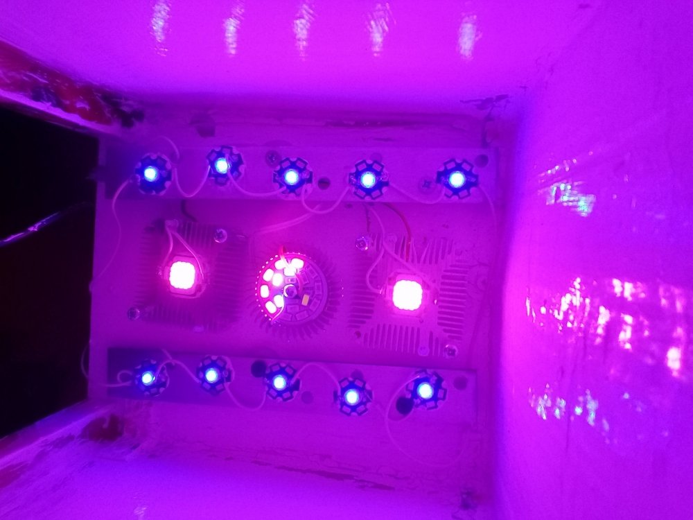 20180201_220038.jpg