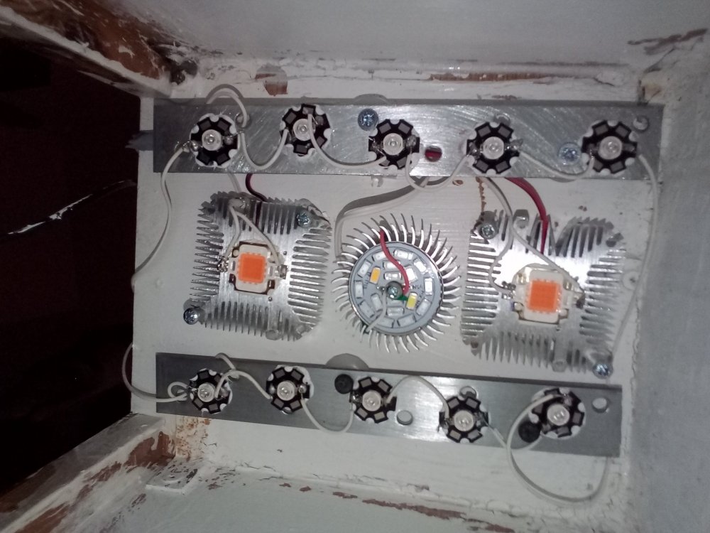 20180201_220100.jpg