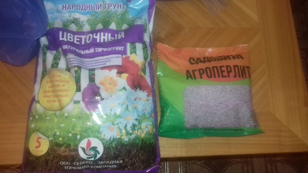20180204_191730.jpg