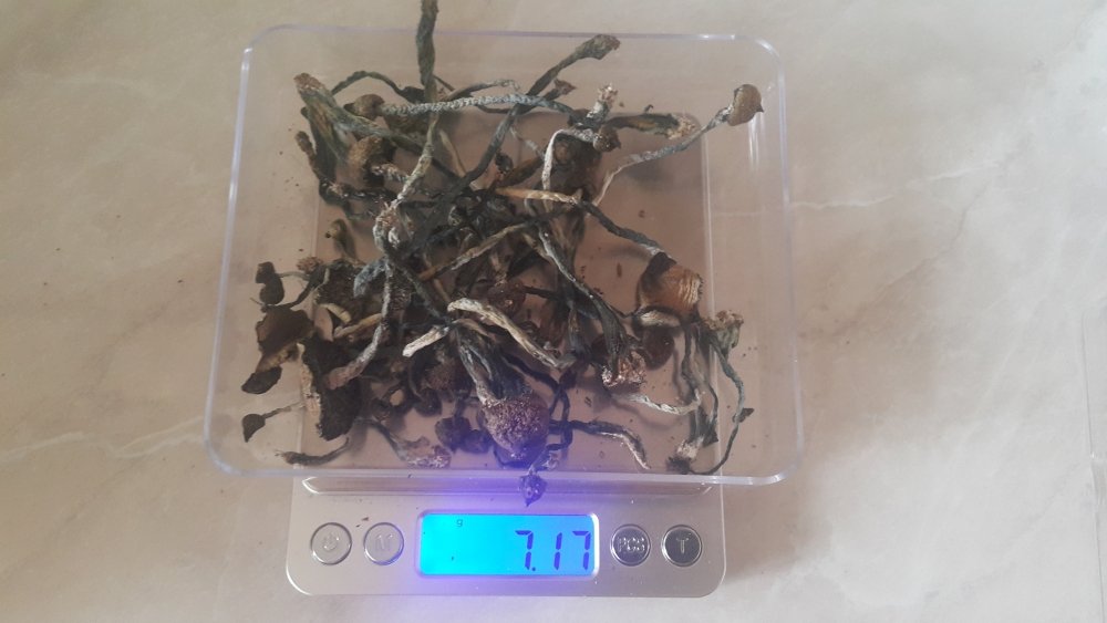 20180207_112816.thumb.jpg.c7f28c9156cdcc9d96742e9c9b7f5763.jpg