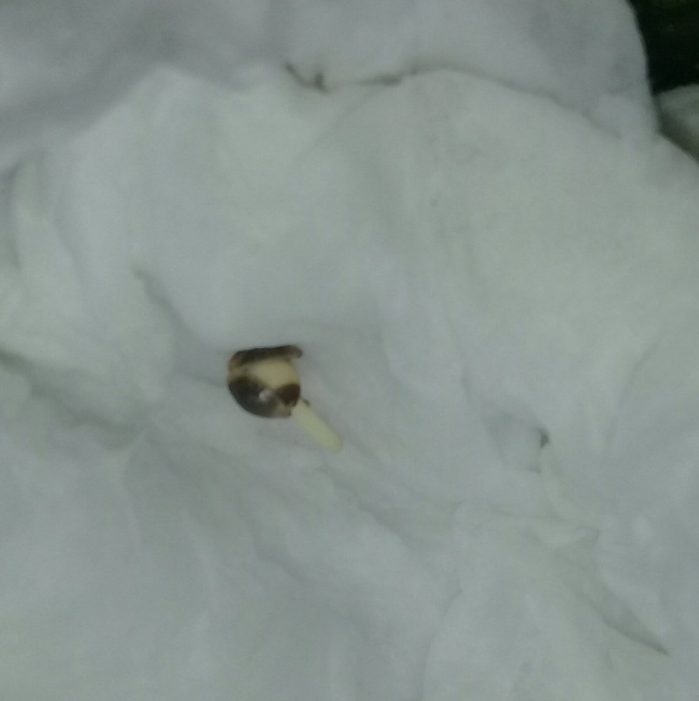 20180217_215354.jpg