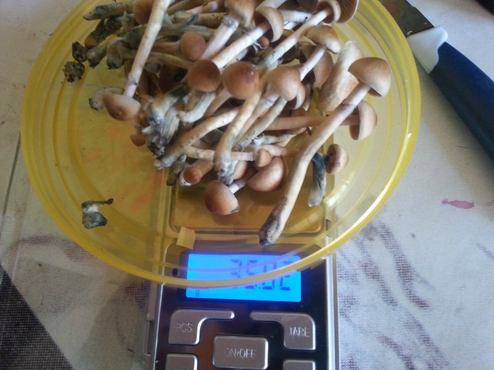 20180220_101651.thumb.jpg.1ba32bf15acd9025af372acde772be04.jpg