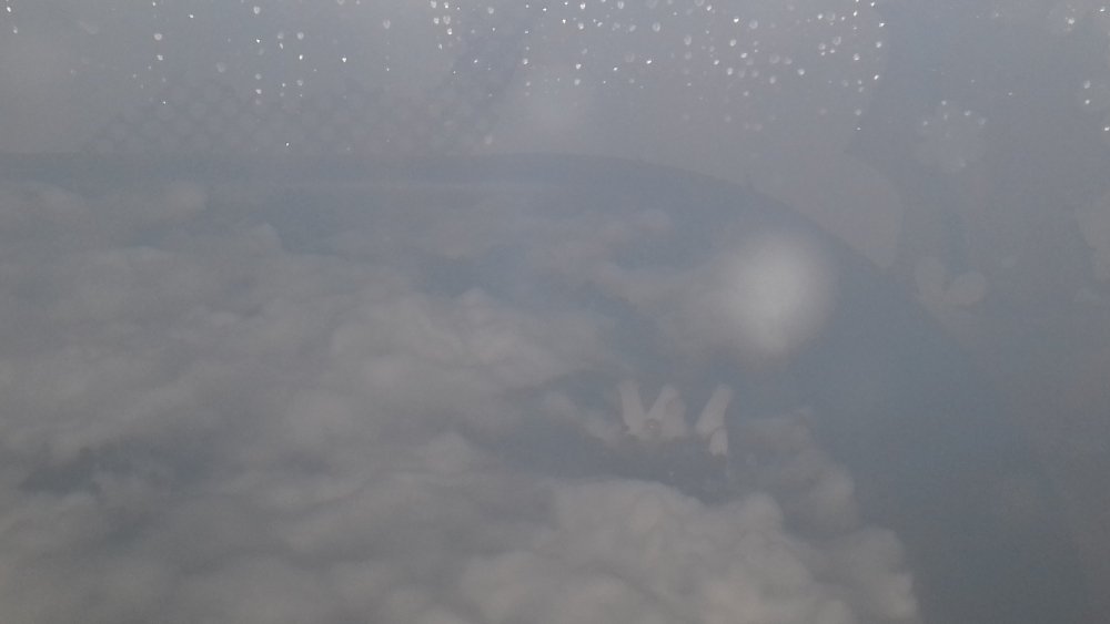 20180222_092959.jpg