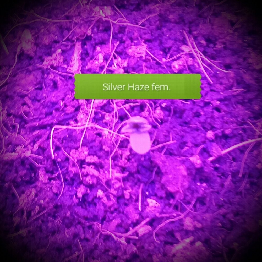 20180223_192438.jpg