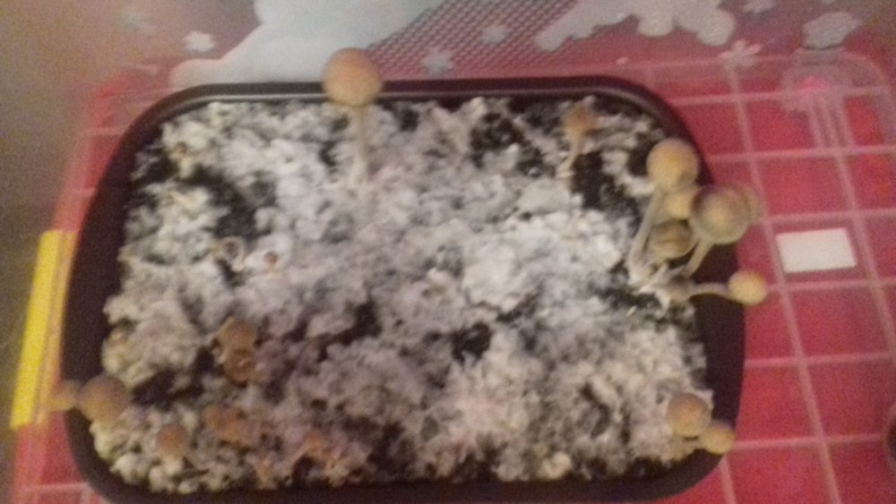 20180224_210243.jpg