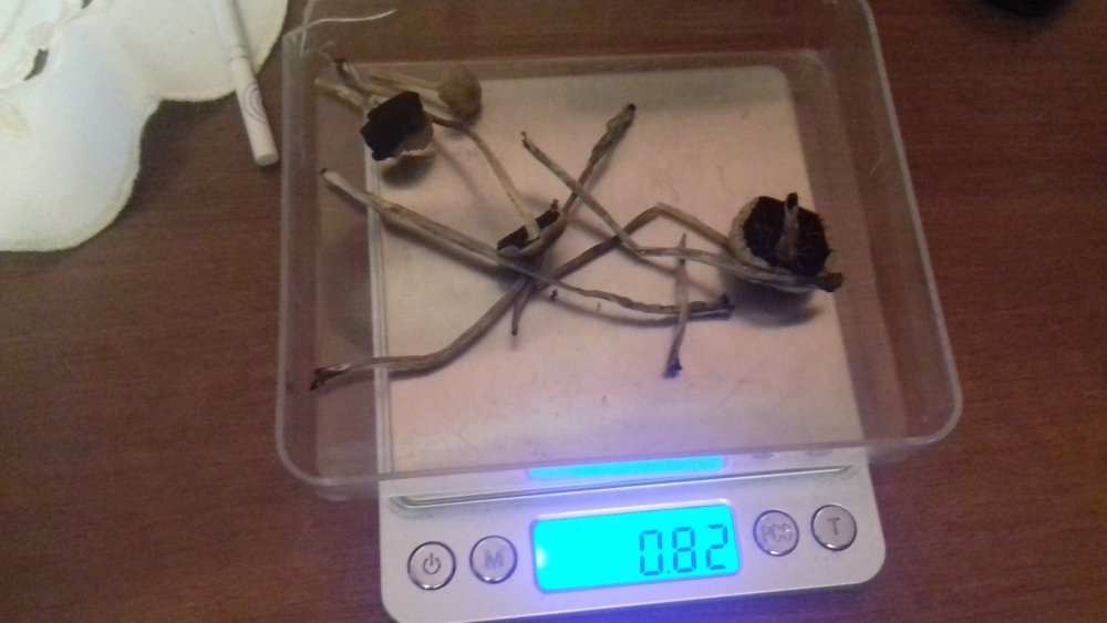 20180225_213236.jpg