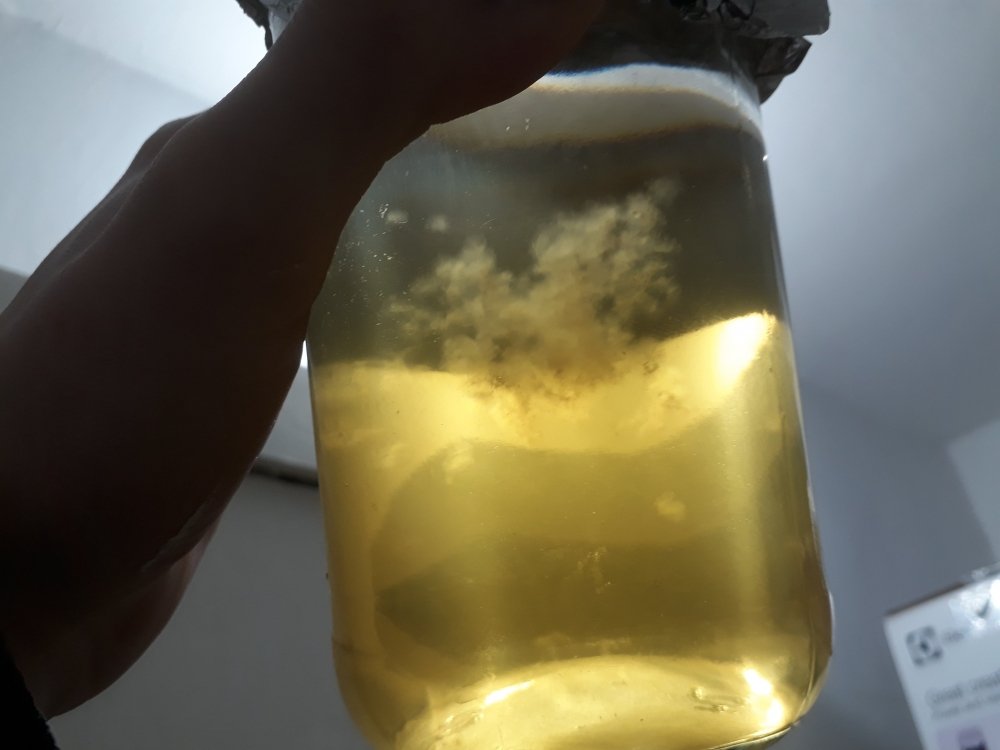 20180228_180626.jpg