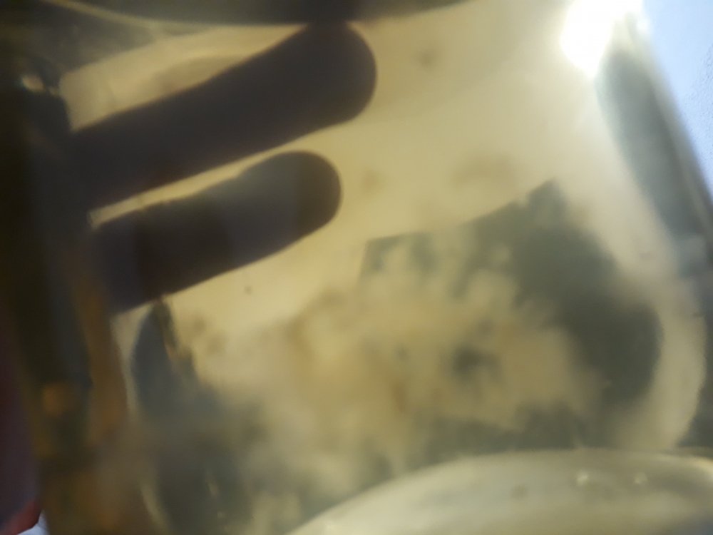 20180228_180650.jpg