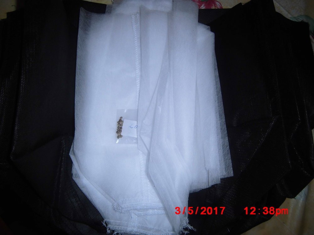CIMG5001.thumb.JPG.dfc4248fc9cb72d121f3f300631a5200.thumb.JPG.771e669095f128ce83ce3cd373cb925e.JPG
