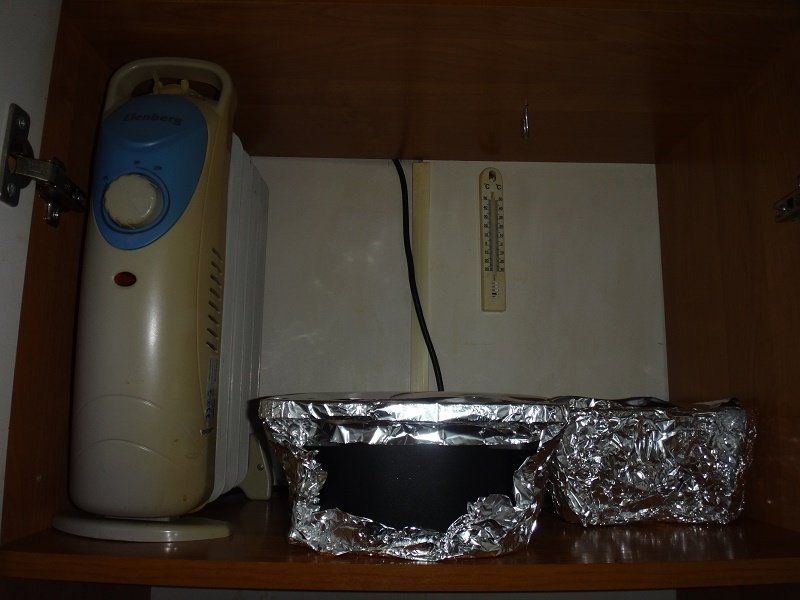 DSC03514.thumb.JPG.67799d88a1aba322f935531ec2369abf.JPG