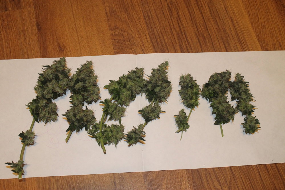 IMG_2984.thumb.JPG.dd2b8c7db9569faa5efa5ef70c0f0069.JPG