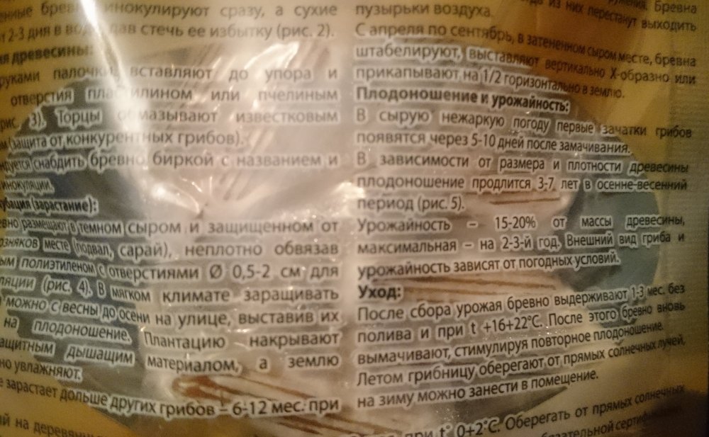 Q.jpg