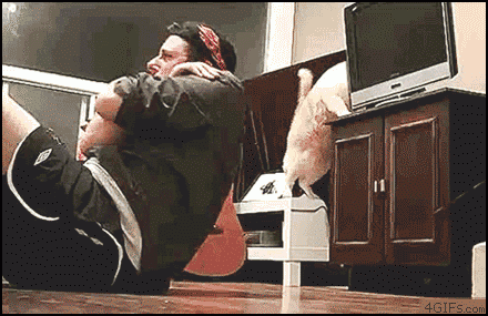 cd2a46b5d7bf362aa63390fdf20bb2a5_293114_1516992837.gif