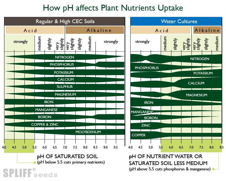 pH-Cannabis-Nutrition-1.thumb.png.d1c7196305eaaa1d2e7010d3563741e9.png