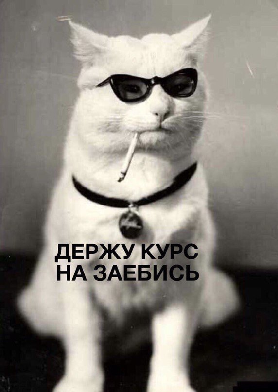 rBQWpu9huDI.thumb.jpg.de2accebde6e33d408d63891c9ac5a0c.jpg