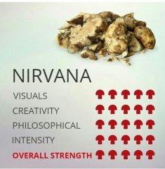 MagicTruffle Nirvana.jpg