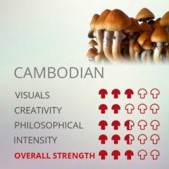 Cambodian.jpg