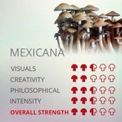 Mexicana.jpg